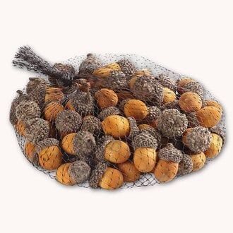 Bag of Yellow Wood Acorns Bowl Filler