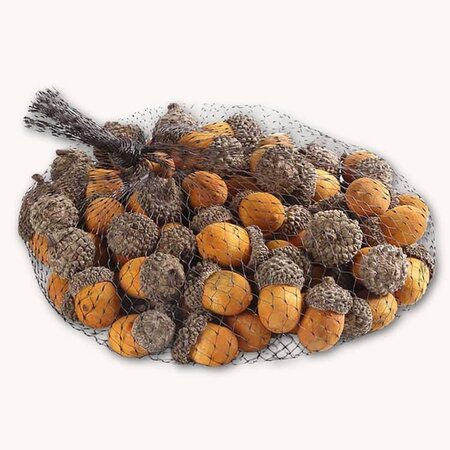Bag of Yellow Wood Acorns Bowl Filler
