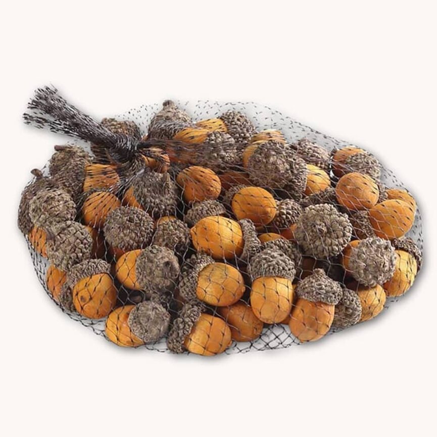 Bag of Yellow Wood Acorns Bowl Filler - 75 ct.
