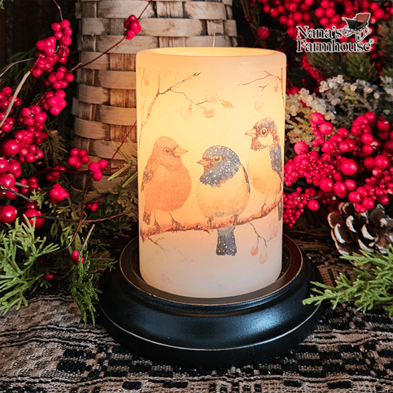 Snowy Bird Trio Candle Sleeve - Vanilla