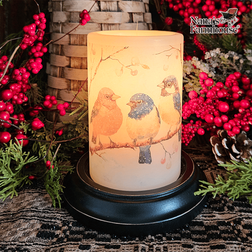 Snowy Bird Trio Candle Sleeve Vanilla