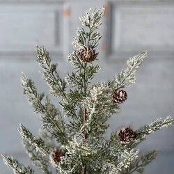 Shilling Cedar Tree Burlap Base - 24"