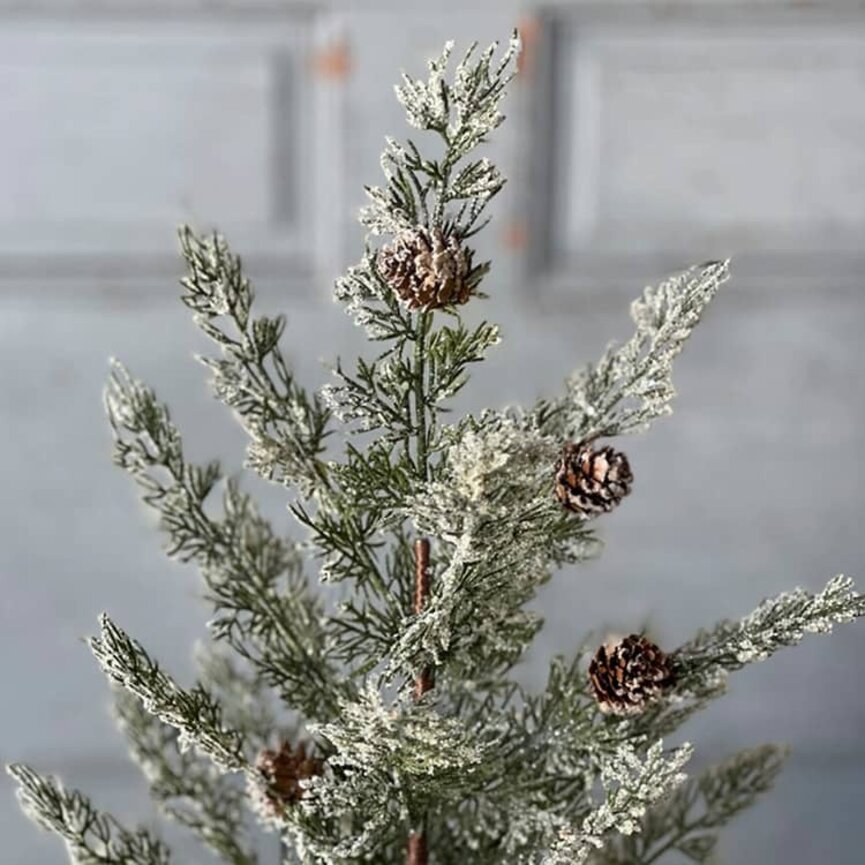 Shilling Cedar Tree Burlap Base - 24"