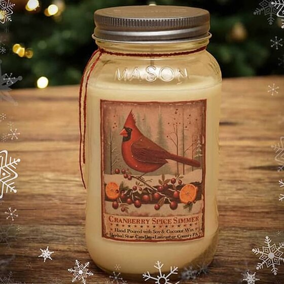 Cranberry Spice Simmer Soy Jar Candle