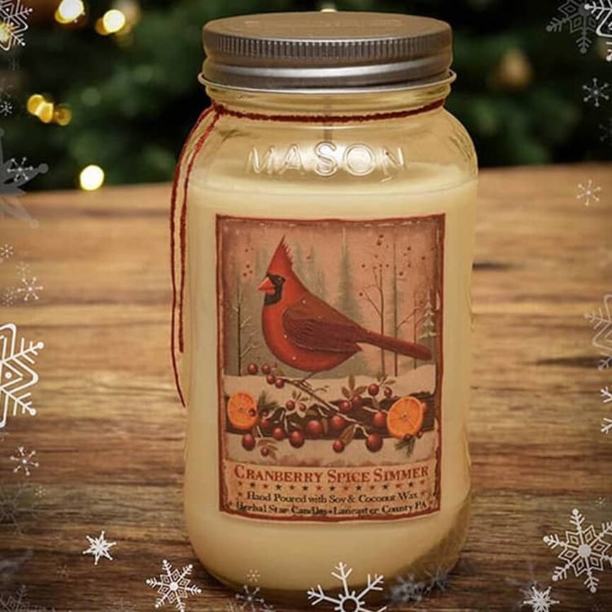 Cranberry Spice Simmer Soy Jar Candle - 24oz