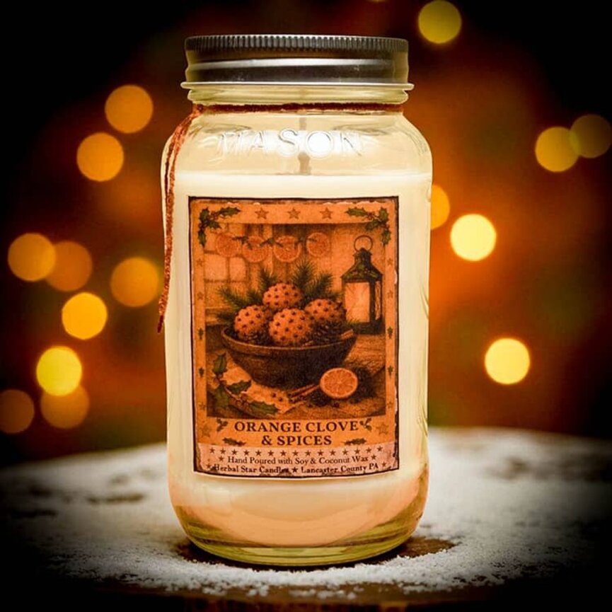Orange Clove & Spices Soy Jar Candle - 24oz