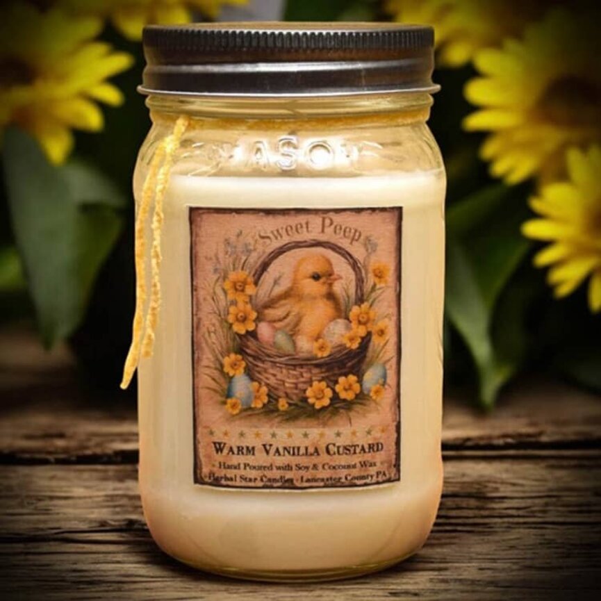 Warm Vanilla Custard Soy Jar Candle 16oz