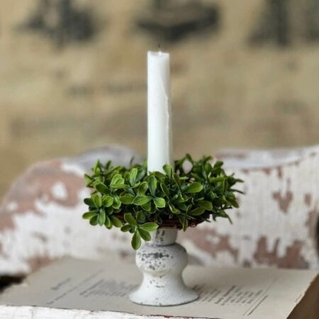 Lyric Boxwood Candle Ring - 4.5"