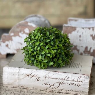 Lyric Boxwood Half Sphere - 5.5"