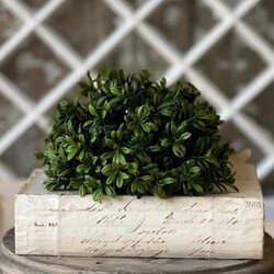 Galilee Boxwood Half Sphere - 7"