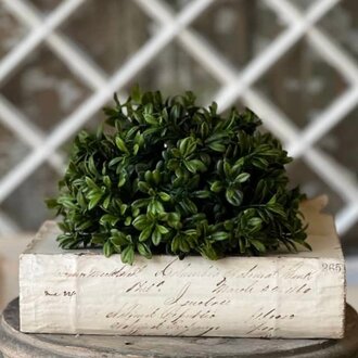 Galilee Boxwood Half Sphere - 7"