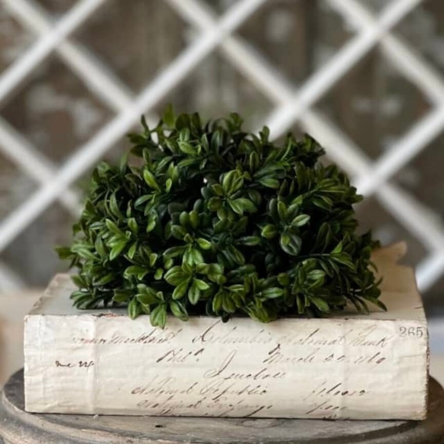 Galilee Boxwood Half Sphere - 7"