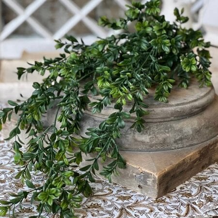 Galilee Boxwood Hanging - 32"