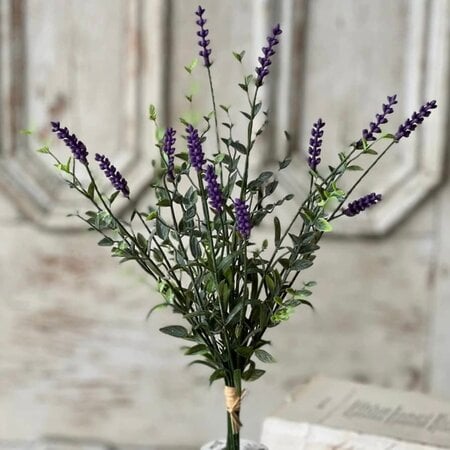 Castleton Lavender Bush - 12"