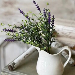 Castleton Lavender Bush - 12"