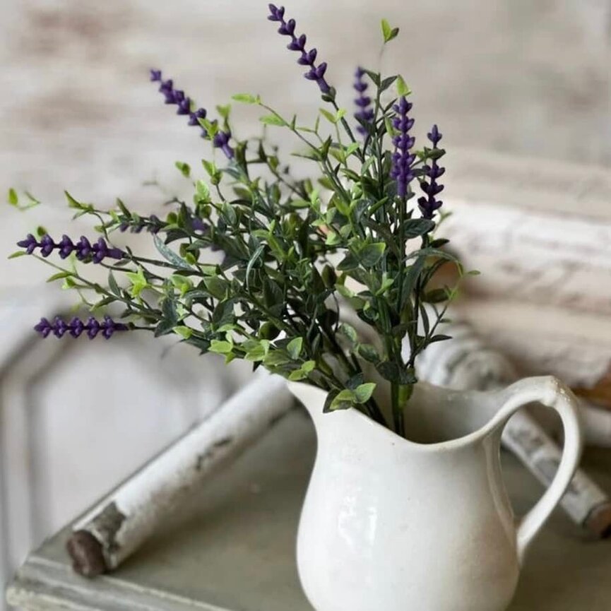 Castleton Lavender Bush - 12"