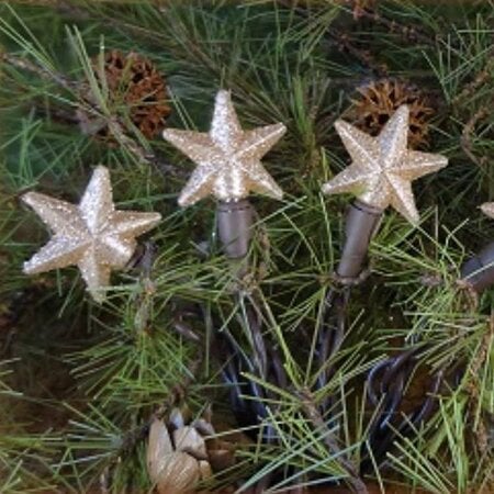 Warm Star 20 ea Pop-Ons String Of Lights - 84"