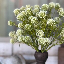 Wil-O-Wisp Bush Fresh - 12"