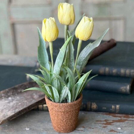 Holland Tulip Pot Yellow - 12"