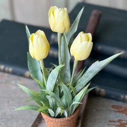 Holland Tulip Pot Yellow - 12"