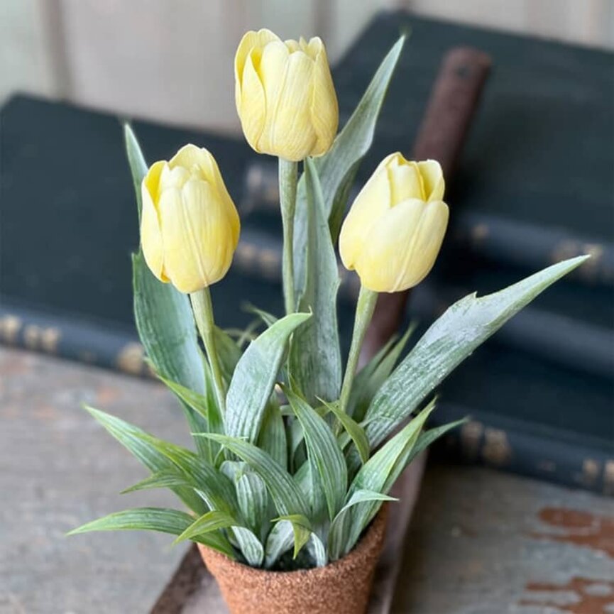 Holland Tulip Pot Yellow - 12"