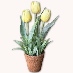 Holland Tulip Pot Yellow - 12"