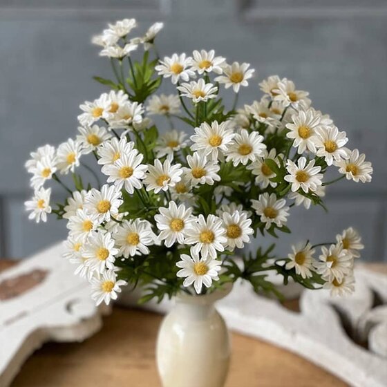 Curtsy Daisy Bush Cream - 16"