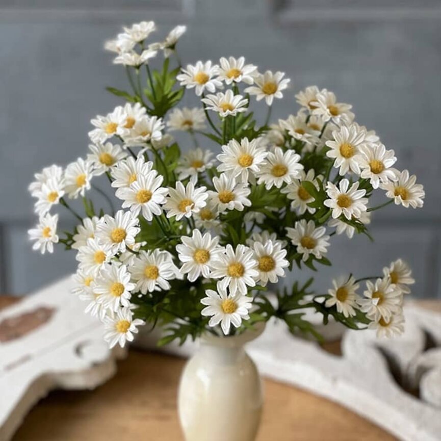 Curtsy Daisy Bush Cream - 16"