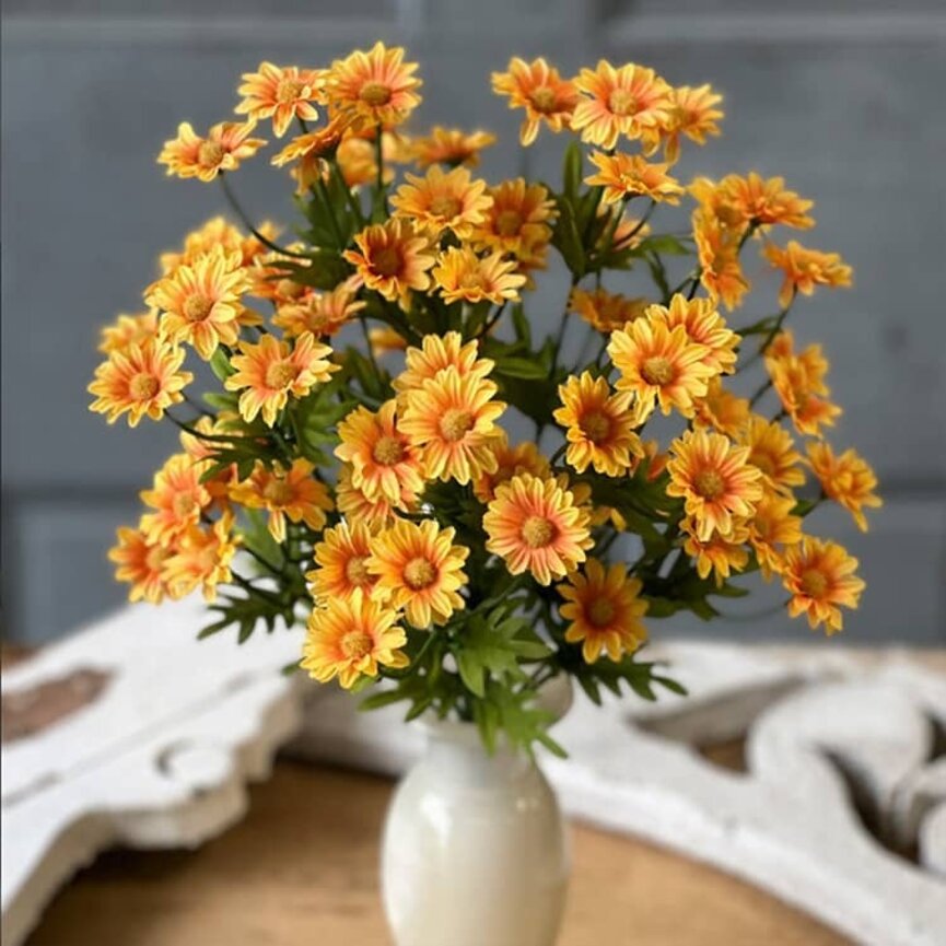Curtsy Daisy Bush Marigold - 16"