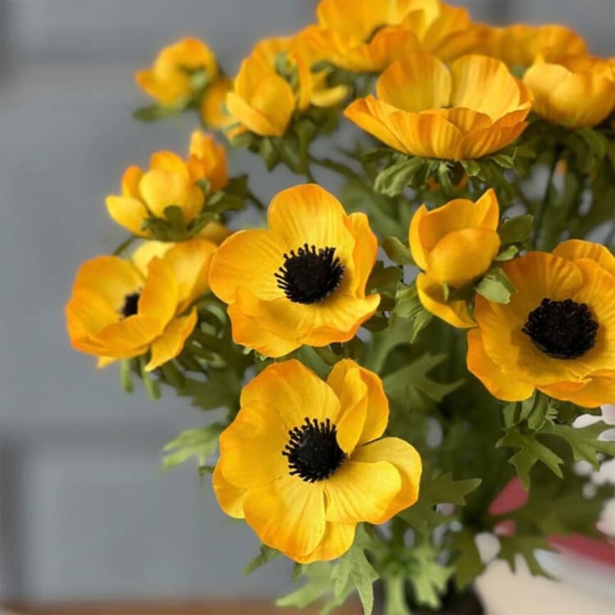 Adonis Blooms Marigold - 14"