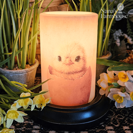 Shy Spring Chick Candle Sleeve - Vanilla