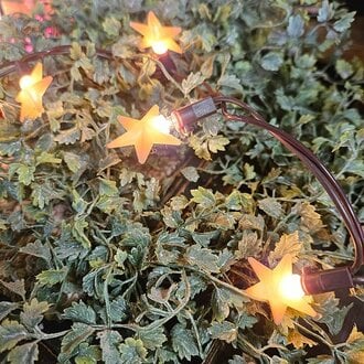 Warm Star 20 ea Pop-Ons String Of Lights - 84"