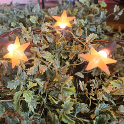 Warm Star 20 ea Pop-Ons String Of Lights - 84"