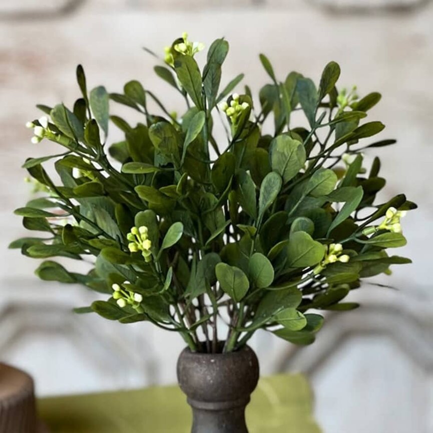 Connemara Greens Bush - 11"