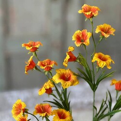 Cannikin Flower Spray - 20"