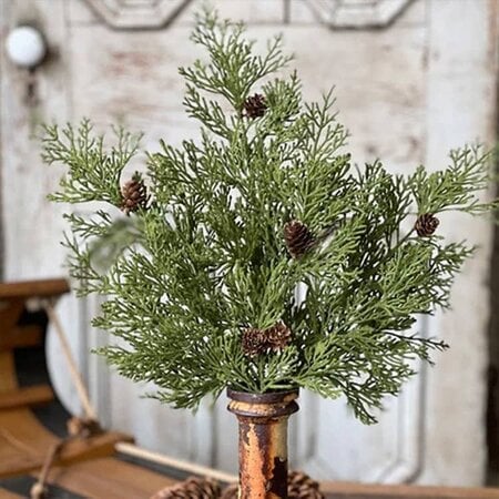 North Rim Hemlock Bush - 22"