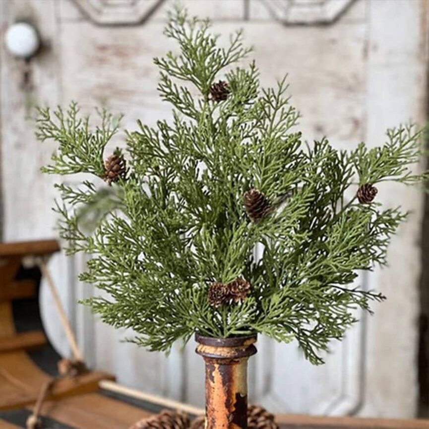 North Rim Hemlock Bush - 22"
