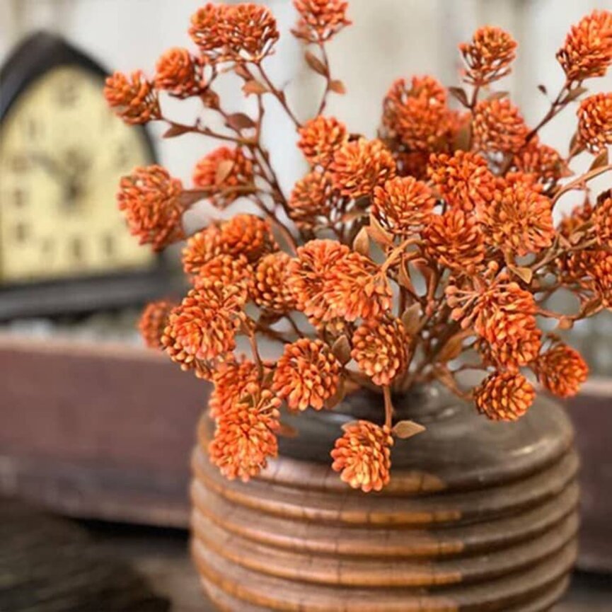 Russet Cone Bush Sienna - 12"