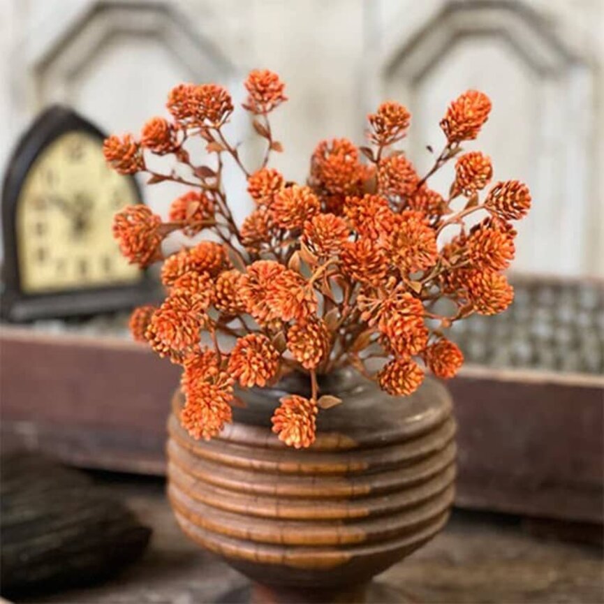Russet Cone Bush Sienna - 12"