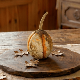 White Pumpkin with Orange Stripe - 7"