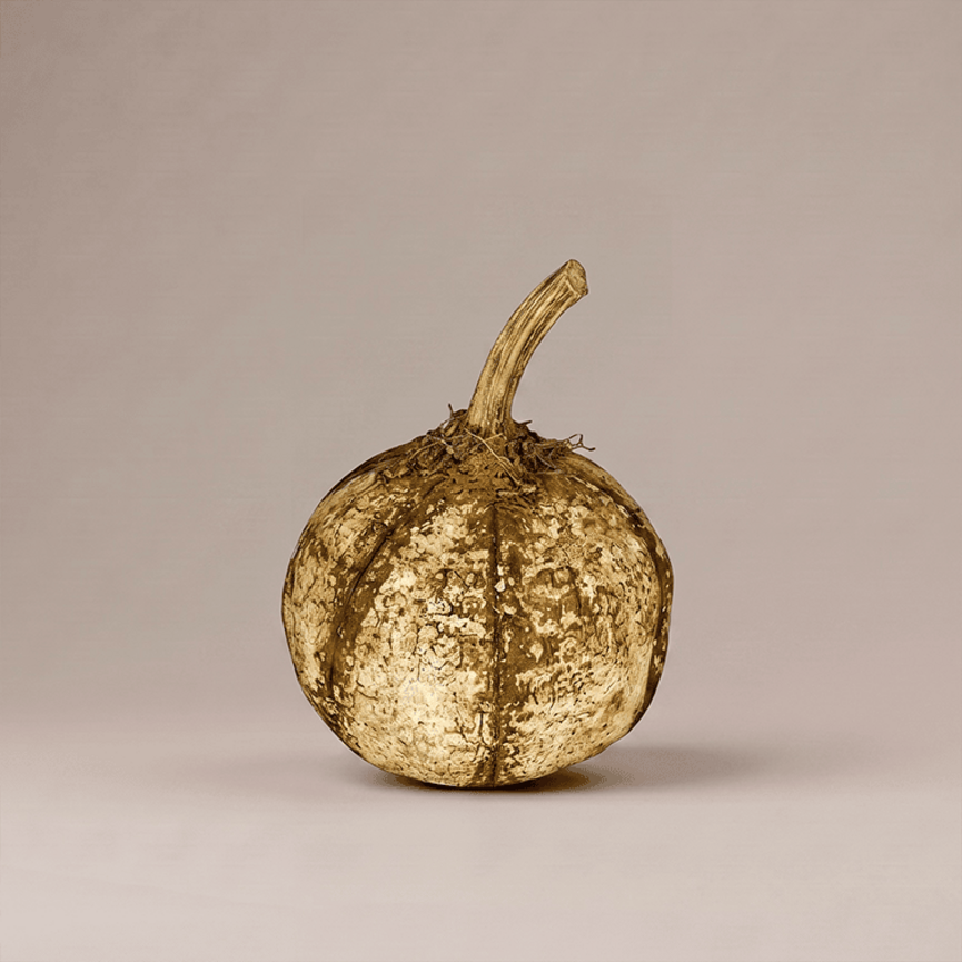 White Pumpkin Stem with Green Stripe - 6" x 3"