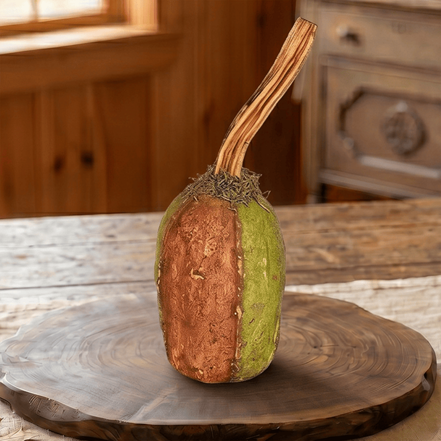Krisnick Pumpkin Orange & Green with Dried Stem - 13.5" x 4.5"