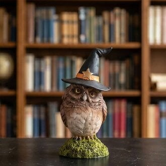 Owlina Witch