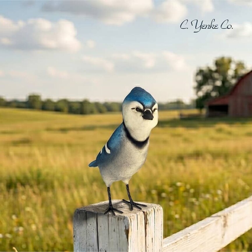 Blue Jay Bird - 8" x 6.75"