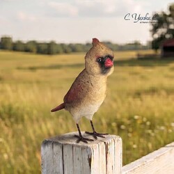 Cardinal Female Bird - 7"