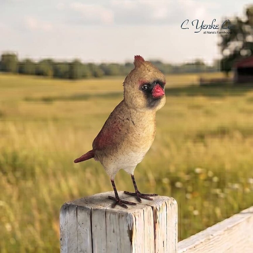 Cardinal Female Bird - 7"
