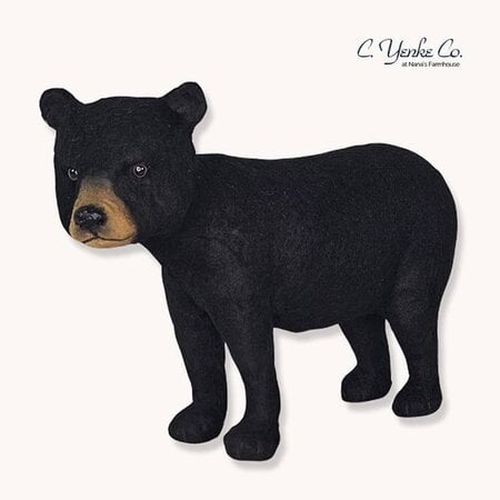 Black Bear Standing