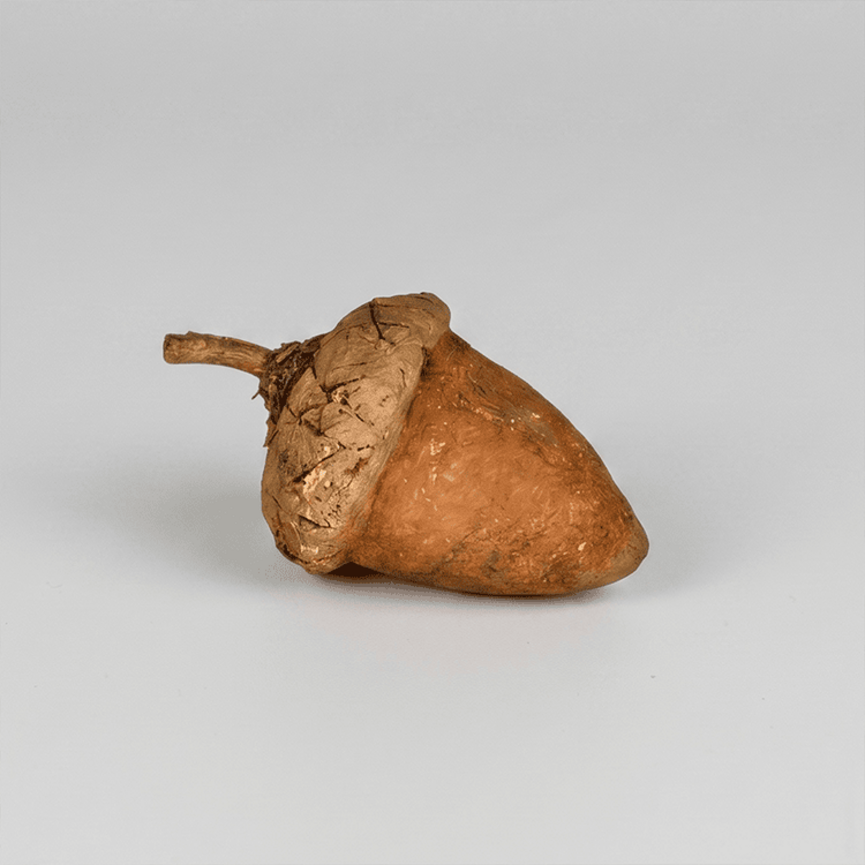 Krisnick -  Large Acorn - 5"