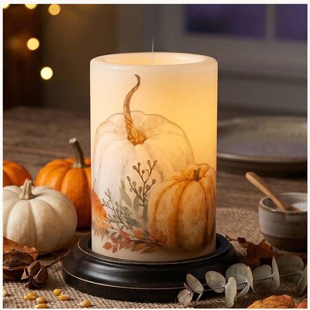 Fall / Halloween