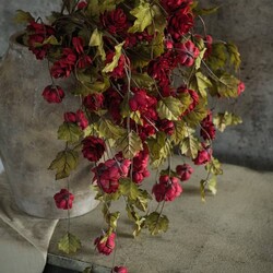 Red Hops Stem - 39"